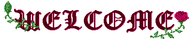 wlcdk3c.gif (8198 bytes)